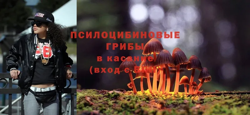 Галлюциногенные грибы Magic Shrooms  Суоярви 